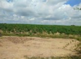 Cần bán gấp đất  DT 1,6 mẫu tại huyện La Pa, tỉnh Gia Lai