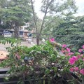 Nhà mặt tiền công viên bán, Phước Bình, quận 9, tp Thủ Đức, TpHCM