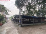Bán 60m đất Chi Đông, Mê Linh. Gần chợ, trung tâm thị trấn. Gần khu công nghiệp Quang Minh.
