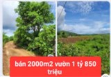 HẠ GIÁ TỪ 2.6 TỶ XUỐNG BÁN 1 tỷ 850 triệu - 2 sào đất vườn tổ 32 liên nghĩa-đức trọng -lâm đồng