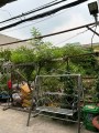 Bán đất 4x18 đường Lê Cơ, Quận Bình Tân