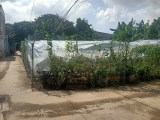 Quá rẻ lô đất 313m, ngang 16m, lô góc, ra mặt tiền đường, Trường Thạnh, Thủ Đức, chỉ 7,59 tỷ.