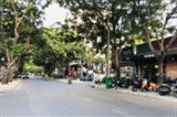 MTKD VIP THẢO ĐIỀN - Quốc Hương - CỰC KÌ HIẾM CÓ  16TỶ TL - 2 TẦNG