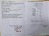 Building mặt tiền Võ Tần Tần, P.6, Quận 3 – Tài sản đẳng cấp cho nhà đầu tư