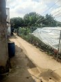 Bán gấp lô đất, ngang 16m, lô góc, Trường Thạnh, Thủ Đức, 320m, chỉ 6,9 tỷ.