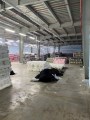 Cho thuê kho xưởng 1000m2 gần Ql1A Tân Thới Hiệp Q12