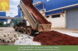 Cung Cấp Đất Màu Trồng Cây ở Đồng Nai, TP. HCM