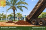 CUNG CẤP ĐẤT MÀU PHÙ SA - ĐẤT TRỒNG CÂY TẠI ĐỒNG NAI