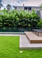 Dịch vụ trồng cây cảnh quan chuyên nghiệp - uy tín tại Đồng Nai