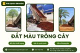 🌱 Bán đất màu trồng cây chất lượng, giá tốt, giao hàng nhanh khu vực Đồng Nai