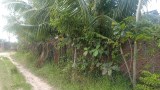 Bán gấp 9 công đất, Ấp Sa Nghe, An Cơ, Châu Thành, Tây Ninh, chỉ 1,9 tỷ.