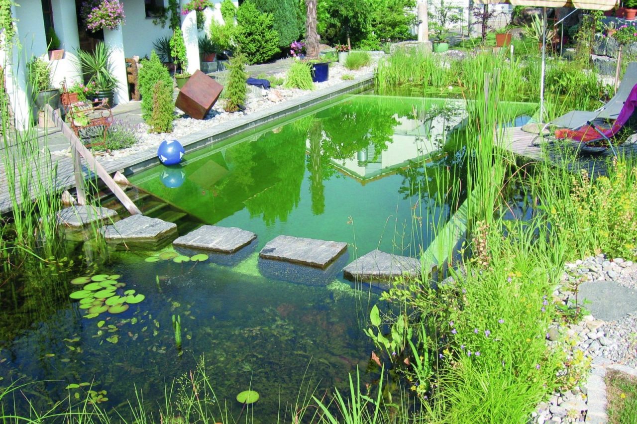 Hồ bơi sinh thái mang đến trải nghiệm sống nghỉ dưỡng tại Urban Green