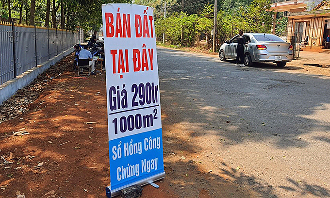 "Sốt" đất nông nghiệp, nhà đầu tư mạnh tay xuống tiền bất chấp rủi ro