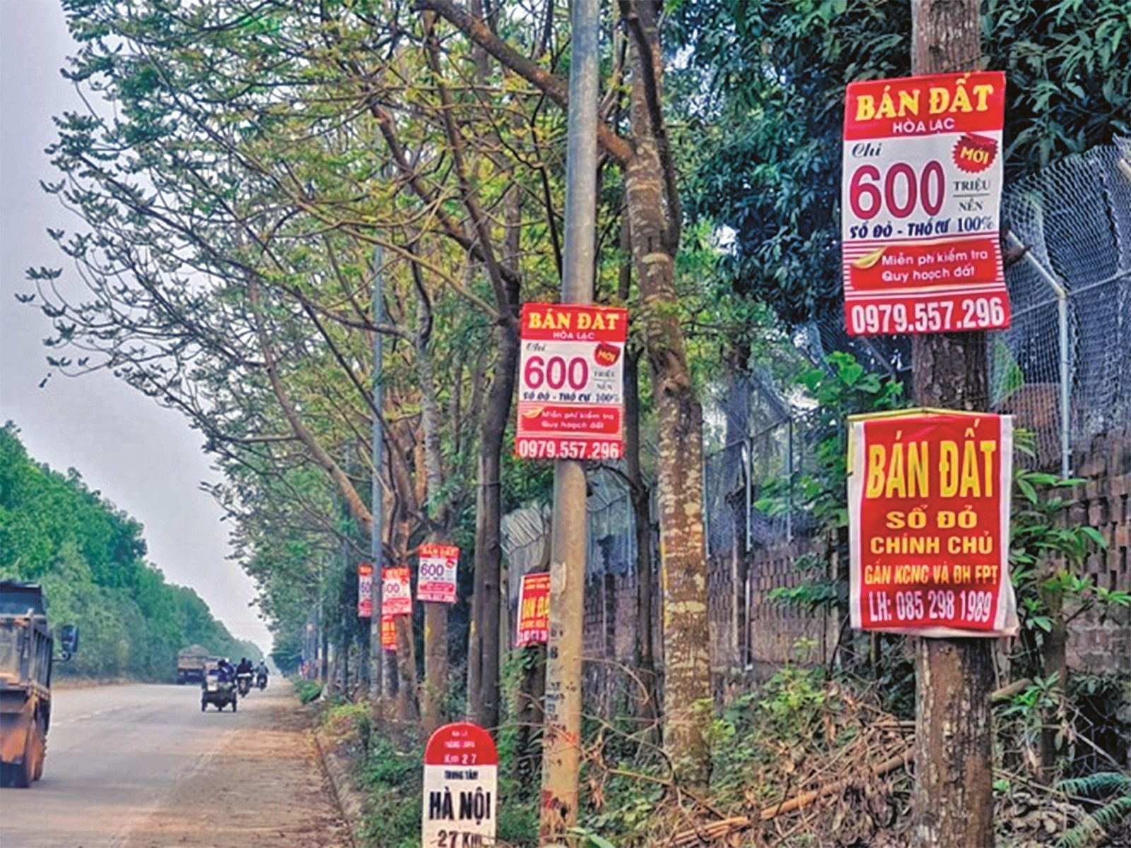 "Sốt" đất nông nghiệp, nhà đầu tư mạnh tay xuống tiền bất chấp rủi ro